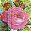 descargar álbum Various - I Never Promised You A Rose Garden