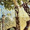 lataa albumi Dinosaur Feathers - Whistle Tips