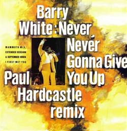 Download Barry White - Never Never Gonna Give You Up Paul Hardcastle Remix